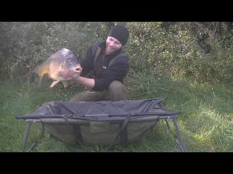 Karpie, zasiadki / 2017 / CARRUM