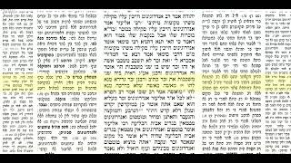 יבמות דף פד
