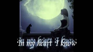 The Swan Song - Within Temptation ~lyrics