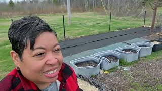 Vegega Metal Raise Beds After 2 Years?