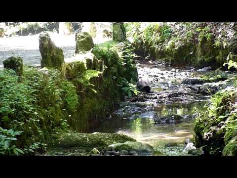 Die Verenaschlucht , Solothurn