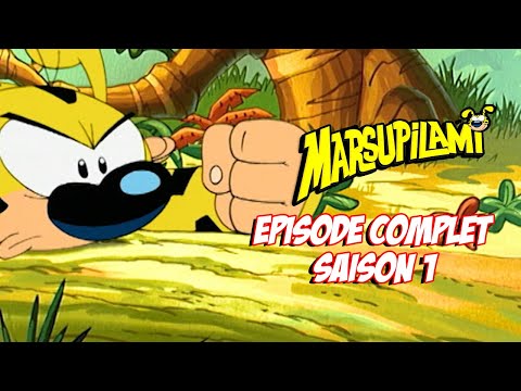 Marsupilami | SAISON 1 EPISODE COMPLET 7,8 & 9 ! | Marsupilami en Français
