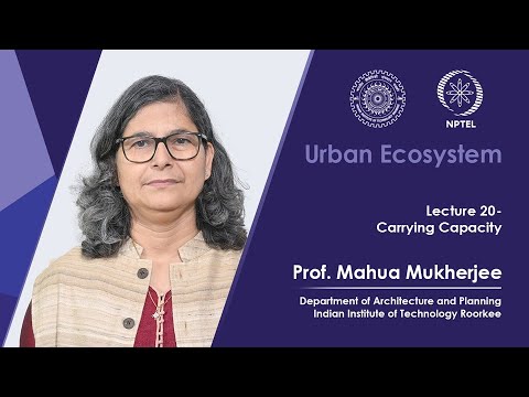 Lecture 20: Carrying Capacity