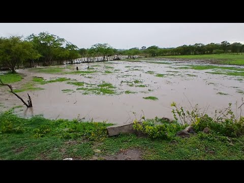 TROVOADA MUITO BOA AQUI EM CAETES PERNAMBUCO 02 de março de 2026