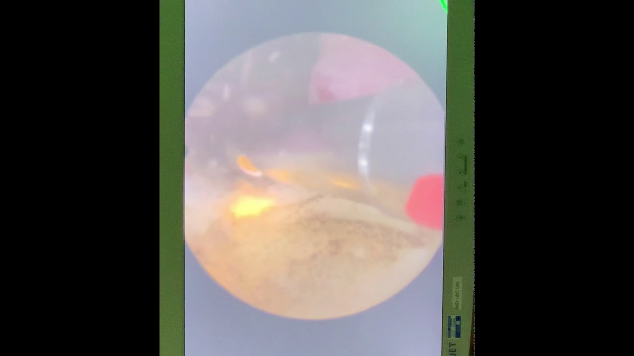 João Pedro Bueno Telles-12