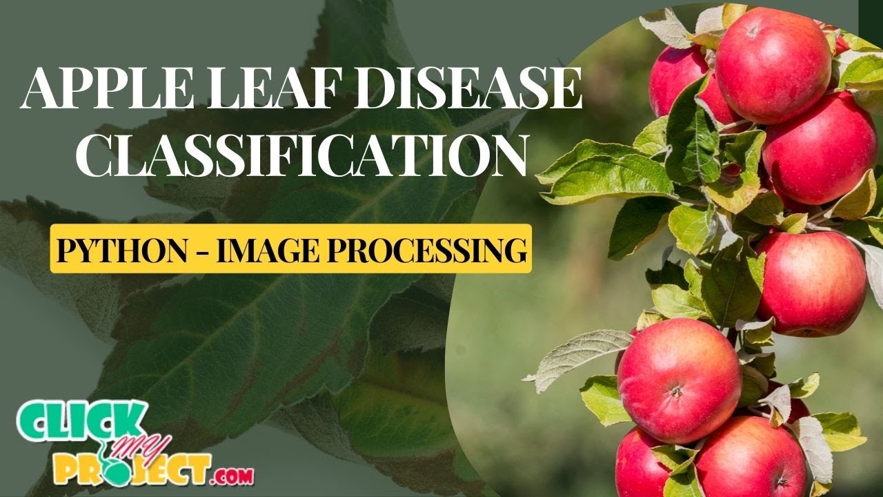 Python Image Processing Project - Apple Leaf Disease Classification - ClickMyProject