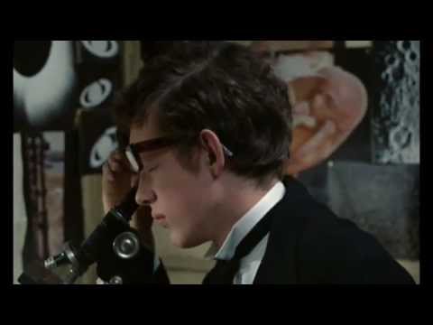 If.... - Bande Annonce VOST