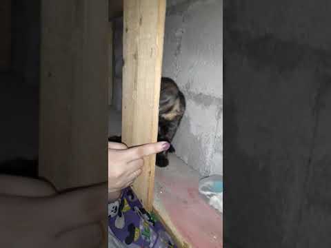 Pag'premature talaga😂🤣