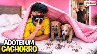 ADOTAMOS CACHORRINHOS DE RUA E ACONTECEU O PIOR *Tio achou