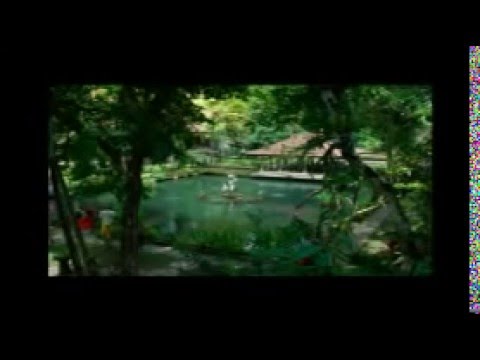 Sag JA zu dir selbst