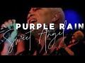SWEET ANGEL Covers "Purple Rain"