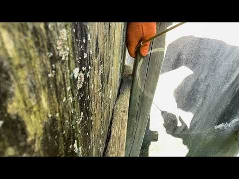 Fence Getting Badly Damaged by Carpenter Bees in Seaside Park, NJ