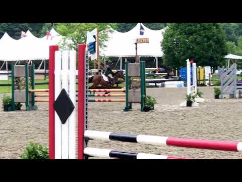 Concerto .9 meter jumpers