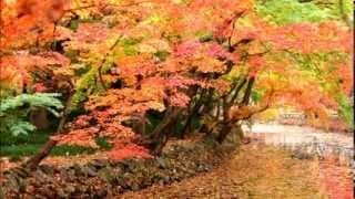 Autumn (Roger Eno)