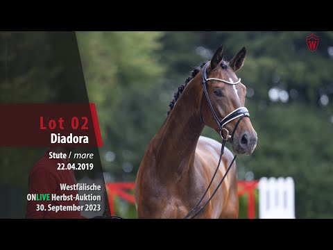 ONLIVE Herbst-Auktion Lot 02 Diadora Stute v. Diamond Deluxe -   Ehrenstolz