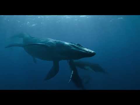 The Ending Scene | Jurassic World Dominion |