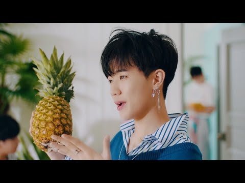 THE EAST LIGHT - LOVE FLUTTERS (Official Video)