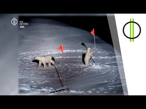 Az első magyar az északi jégmezőn - Horváth Eszter World Press Photo nyertes