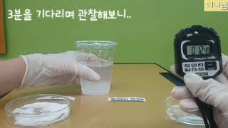 [미니쌤 과학 실험] 탱탱볼 만들기-서로 다른 물질을 섞으면 물질의 성질은 어떻게 될까요?