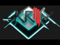 Celine Dion - My Heart Will Go On (SKRILLEX ...