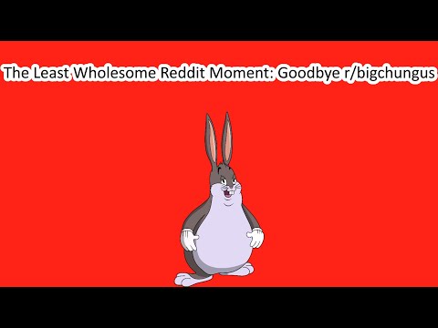 Reddit's Least Wholesome Moment: The Fall of Big Chungus (r/bigchungus)