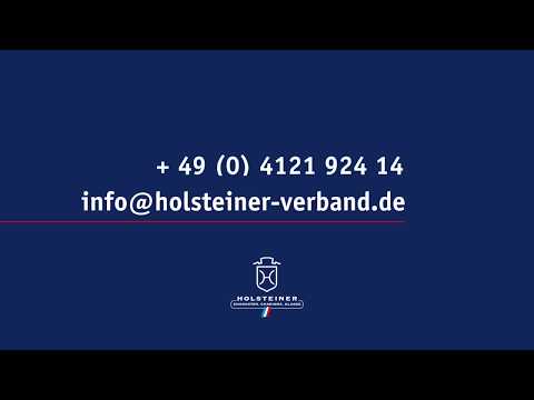 Turnierimpressionen | Quiran in Bad Segeberg