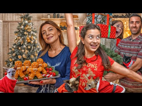 ოჯახური საახალწლო ფუსფუსი, ვდგავთ ნაძვის ხეს, ვაცხობთ ორცხობილები