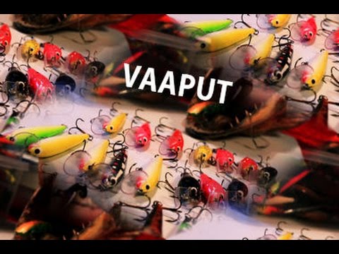 Vaaput (Osa 10/20): Toutaimen kosto