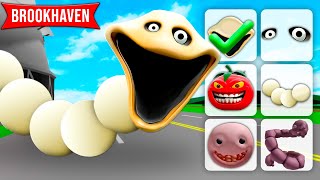 VIREI A MINHOCA FAMINTA no BROOKHAVEN!