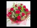 20 Rosa Angeles Azules von vicky3004 vor 20 Rosa Angeles Azules von vicky3004 vor