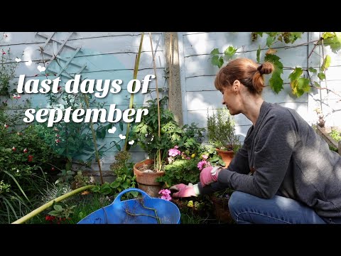 Cosy Sunday Vlog 🥧🍏 Cooking Apple Crumble & Autumnal Sausage Casserole, Organising in the Garden