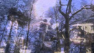 Concrete // GozoQuarkTree