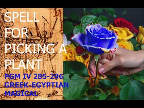 Magic Spell For Picking a Plant! Greek-Egyptian Magical Papyri - PGM IV 285-96