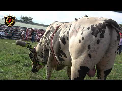 ZARCO DE GUERRERO VS AGUILA DEL DESIERTO