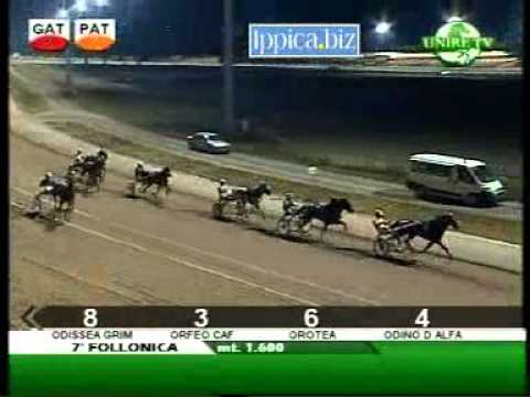 Ippica Biz   FL   PREMIO I VINI DEL GROSSO