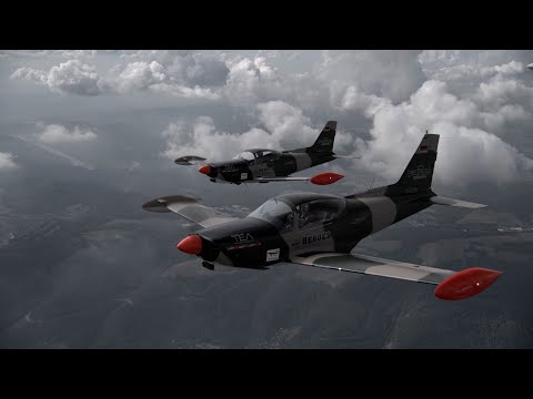 Fortis X Die Niebergalls: Kunstflug ist Familiensache