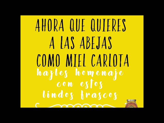 Vídeo relacionado con UCAMP Mini Hexagonales Tarros De Miel De Cristal(20 Piezas),Tarros De Miel De Cristal con Tapa,Tarro De De Vidrio con Cuchara De Madera,Colgante De Abeja,Bolsa De Regalo y Pegatina