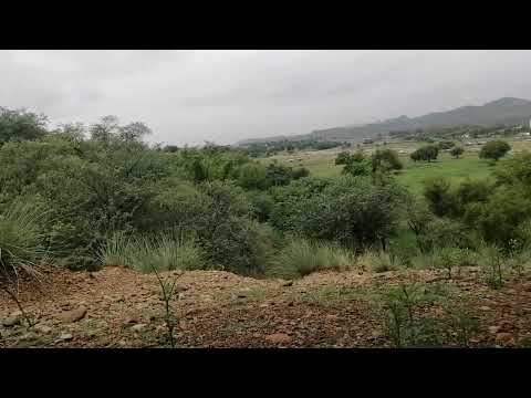 Mere Humsafar Episode 38 - Presented by Sensodyne - 15th September 2022 - D Video Home