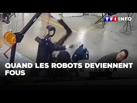 Quand les robots deviennent fous｜TF1 INFO