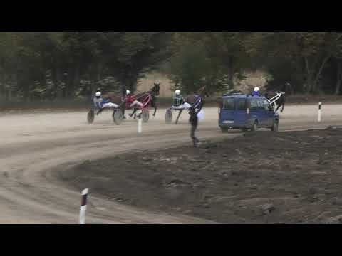 Trka "Singidunum-Salaš kod mog Đoke"-start 31.10.2020  Sirol Axe - Milan Tasić