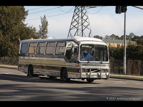Harris Park Transport / AJ Moore [North Rocks] Volvo B10M Mk II / Custom Coaches, 51920-H