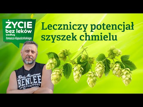 Calming infusions of hop cones