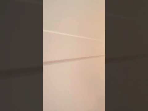 Magazine st. #3, Cambridge