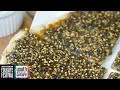 Festival Foodways Middle Eastern Manoushe