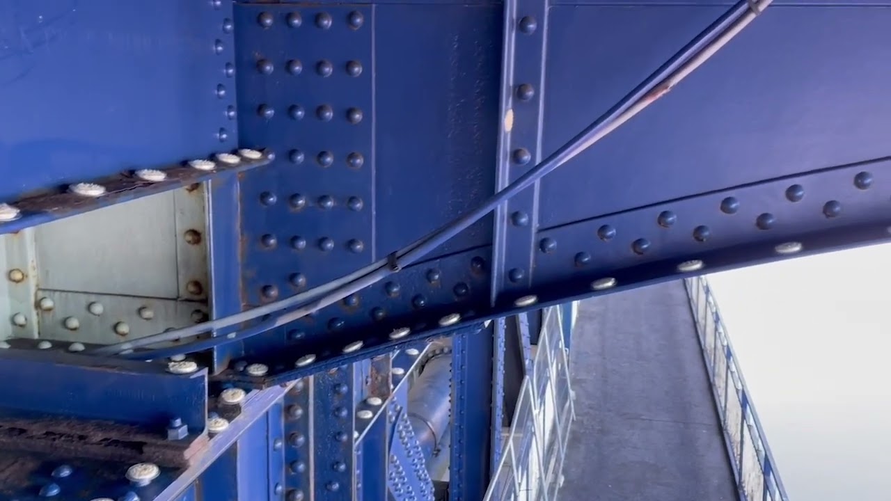 Fugle fri - Fuglebeskyttelse for urbane miljøer - 15 stk skåler