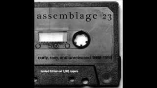 Assemblage 23 - Sometimes I Wish I Was Dead (lyrics)