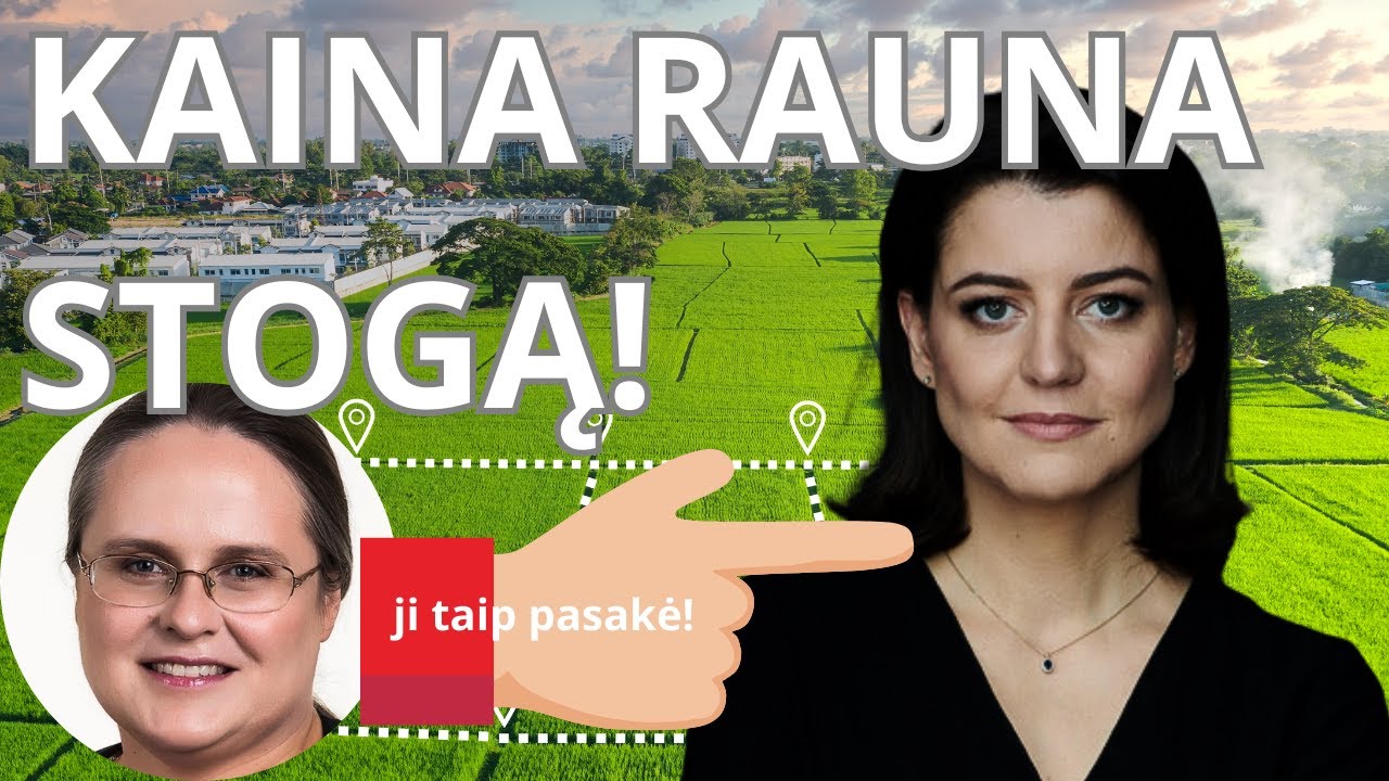 Dar vienas sklypas už eurą!