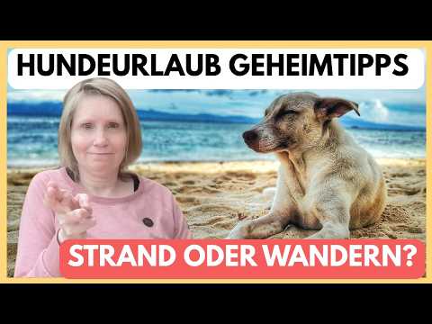 Urlaub mit Hund 🐾 Geheimtipps für Hundestrände und Wanderwege! 🏞️