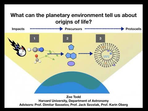 Zoe Todd - What can the planetary environment tell us about origins of life?