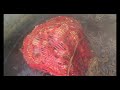 Dyeing Wool With Natural Dyes Medium Yellow